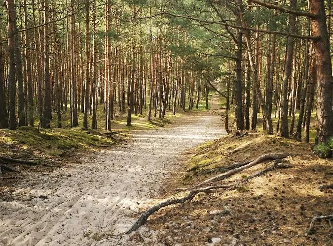 Апартаменты M&k Marynarski- Sobieszewo, Wyspa Sobieszewska Гданьск