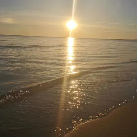 M&k Marynarski- Sobieszewo, Wyspa Sobieszewska * Gdańsk