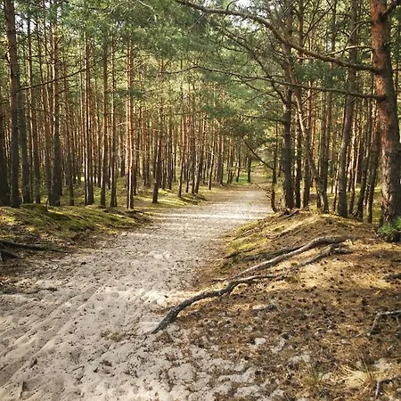 Apartman M&k Marynarski- Sobieszewo, Wyspa Sobieszewska Gdańsk